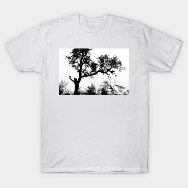 African White-backed Vultures in Silhouette T-Shirt by GrahamPrentice